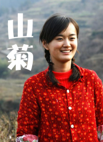 一区二区在线免费播放